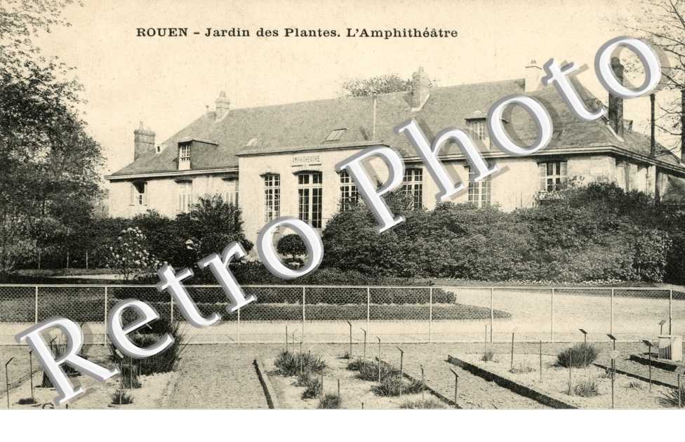 Le Jardin des Plantes - l'Amphiteatre