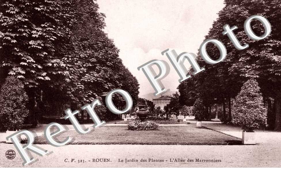 Le Jardin des Plantes - Allee des Marronniers