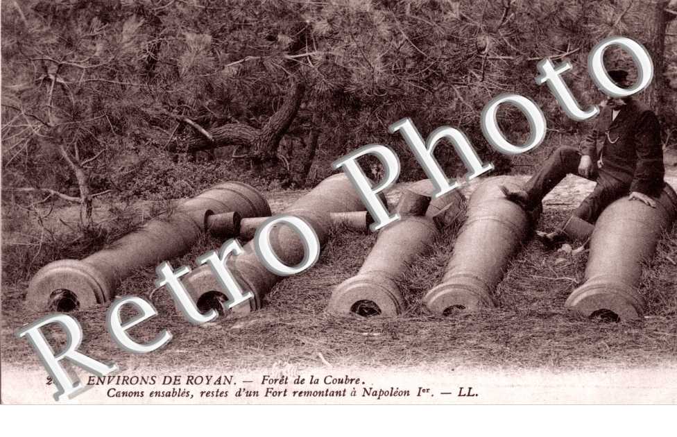 Foret de la courbe - canons ensables