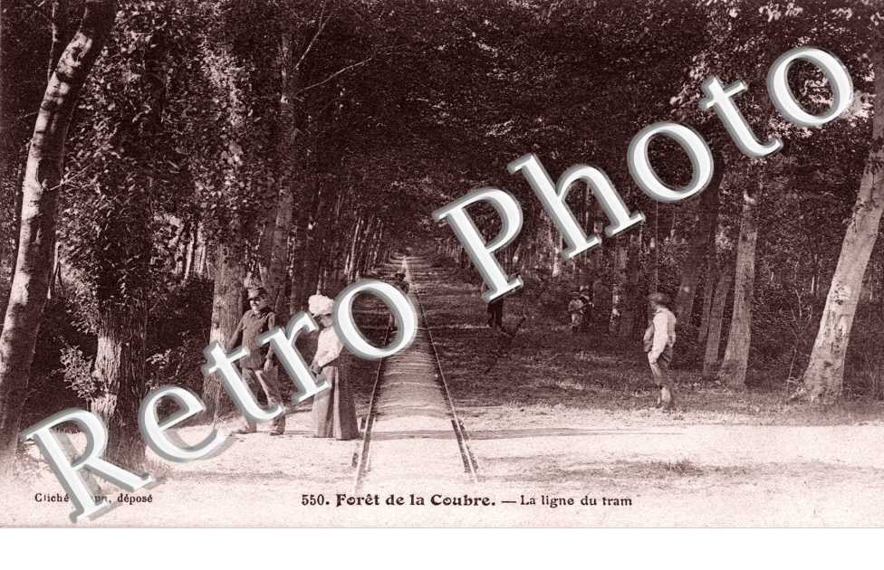 Foret de la coubre - la ligne de tram