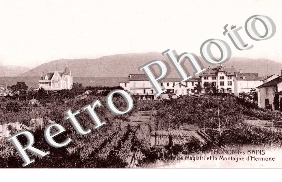 Villa de Magistri et la montagne d'Hermone