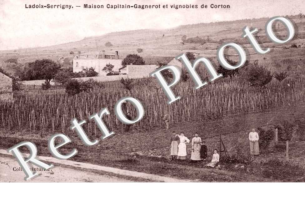 Maison Capitain Gagnerot et vignobles de Corton