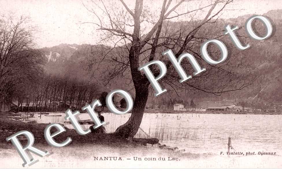Un Coin du Lac