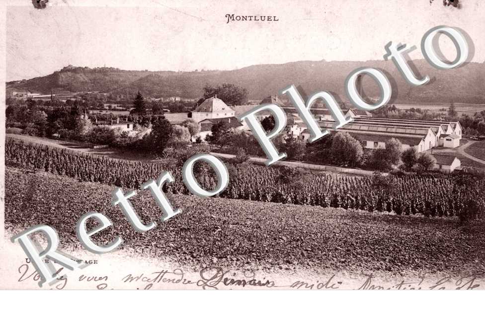 Usine de Tissage