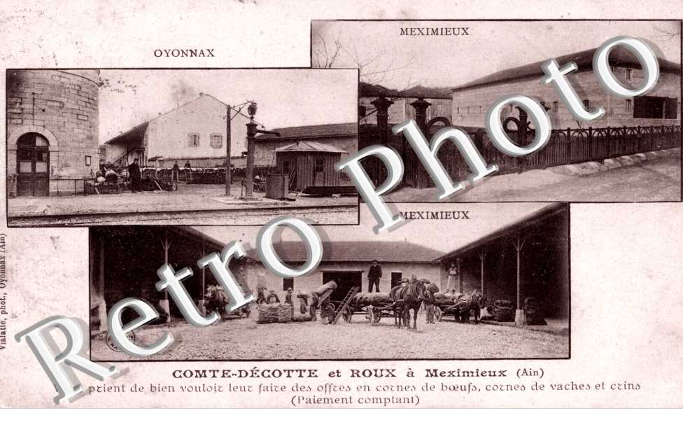 MEXIMIEUX  OYONNAX Comte-Decotte et Roux a Meximieux