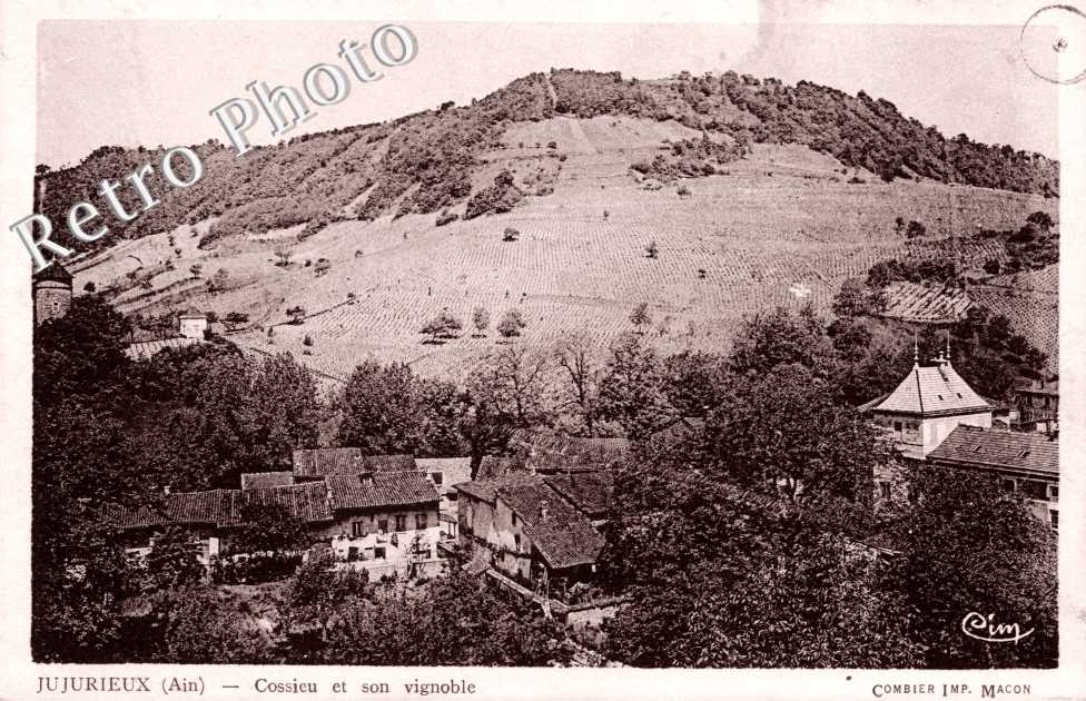 Cossieu et son Vignoble