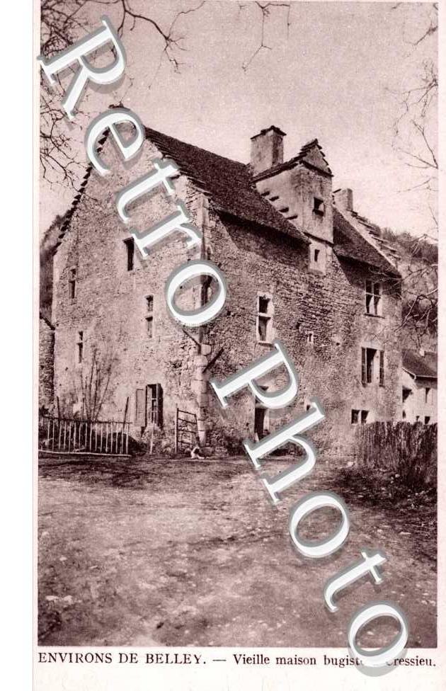 Vieilles maison bugiste a Cressieu