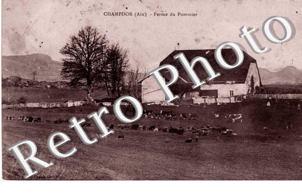 Ferme du Pommier