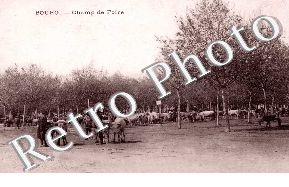 Champ de foire