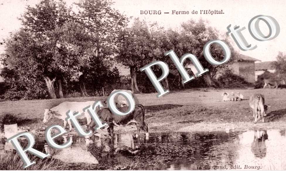 Ferme de l&#039;hopital