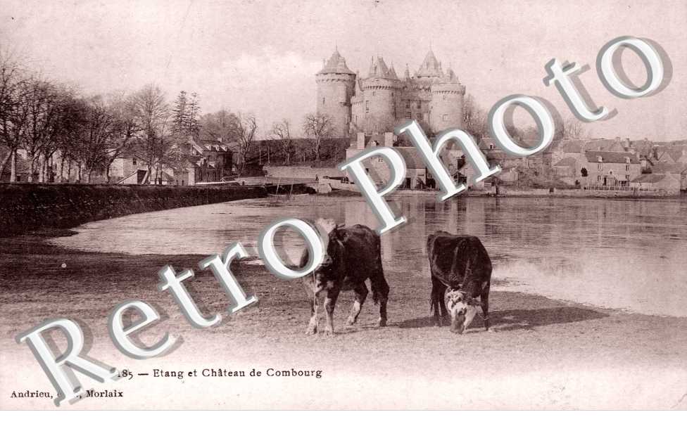 Etang et Chateau de Combourg