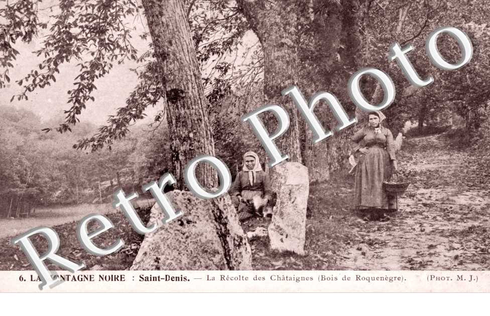 la Recolte des Chataignes, Bois de Roquenegre