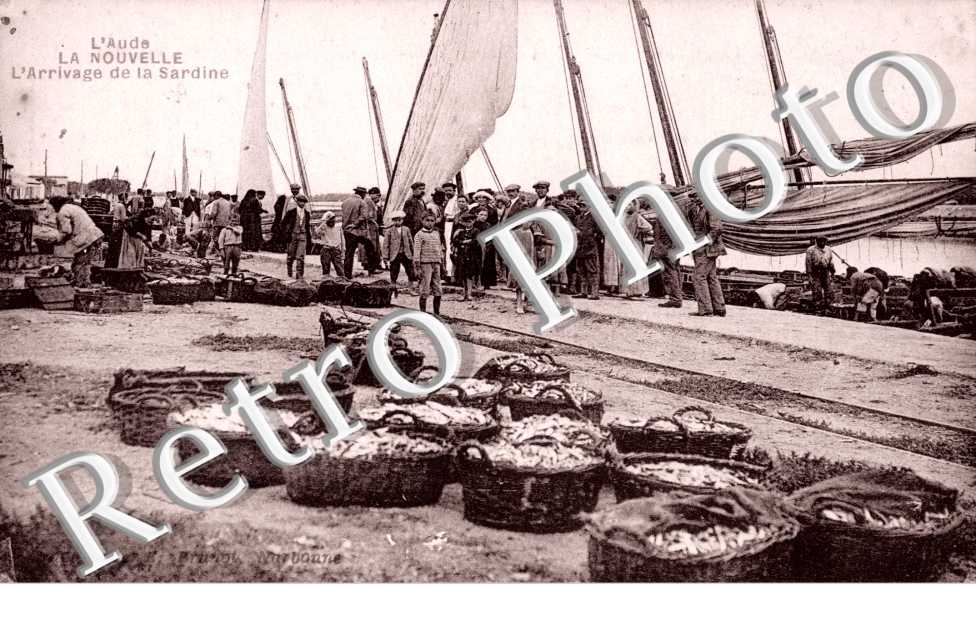 l&#039;Arrivage de la Sardine