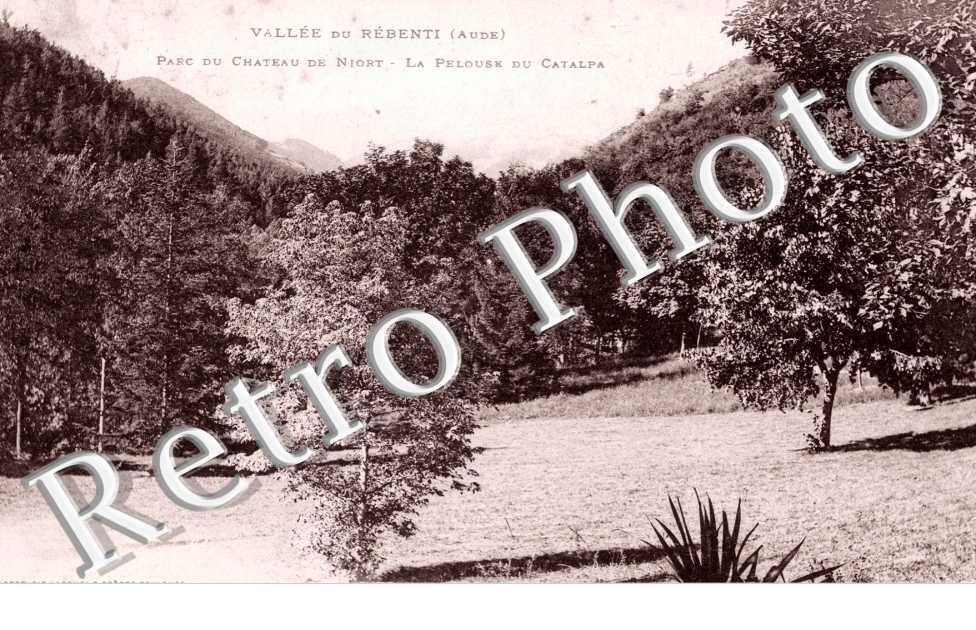 Parc du Château - La Pelouse du Catalpa
