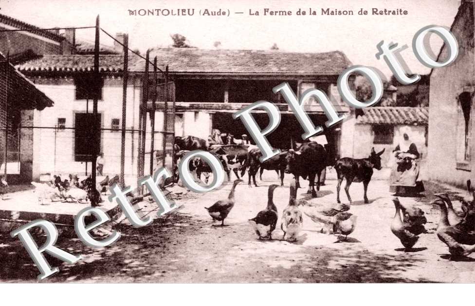 La ferme de la maison retraite