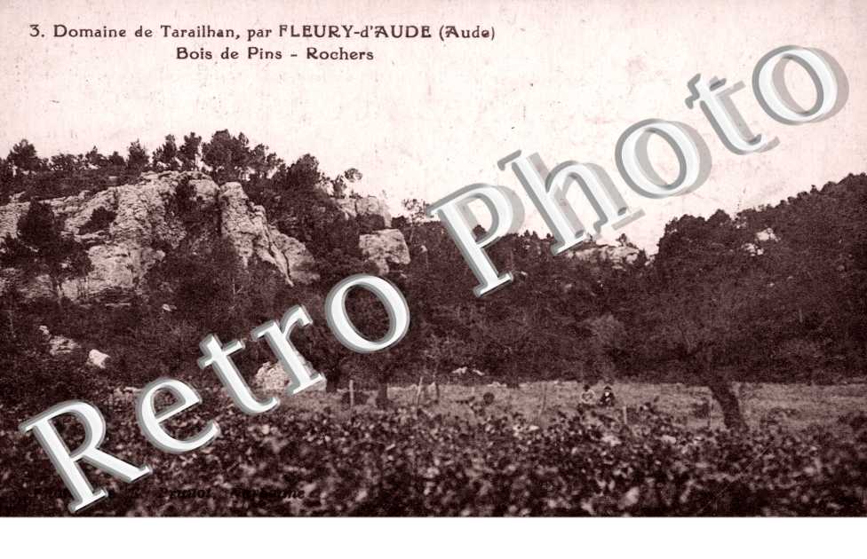 Domaine de Tarailhan, Bois de Pins, Rochers