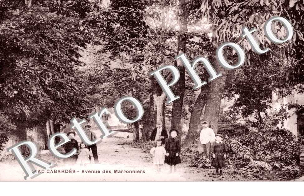 Avenue des Marroniers