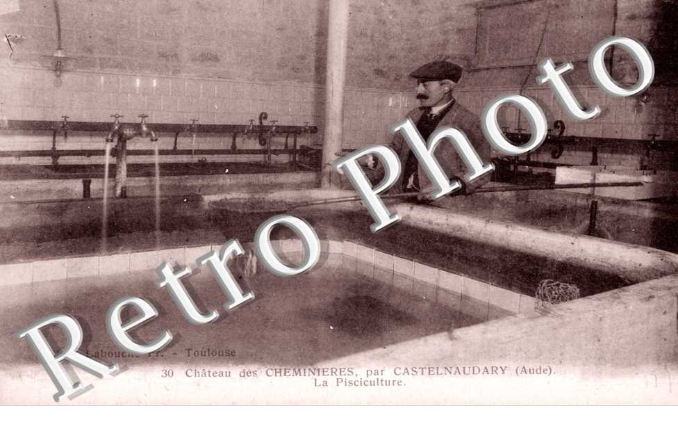 Chateau des Cheminieres - La pisciculture