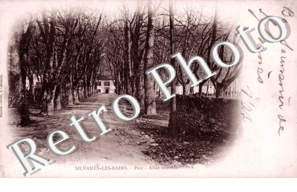 Parc - Allee centrale