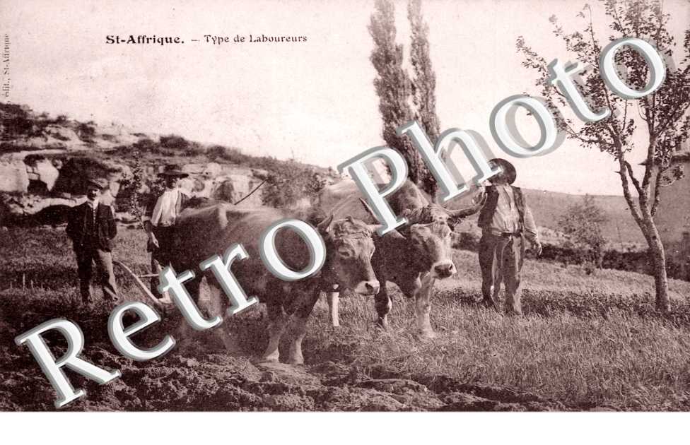 Type de Laboureurs