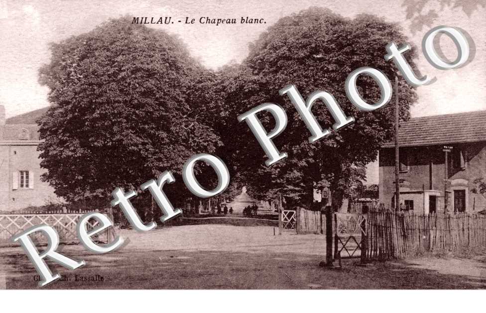 Le Chapeau blanc