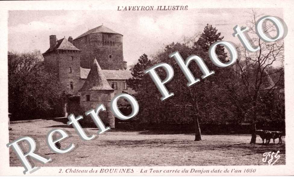 Chateau de Bourines