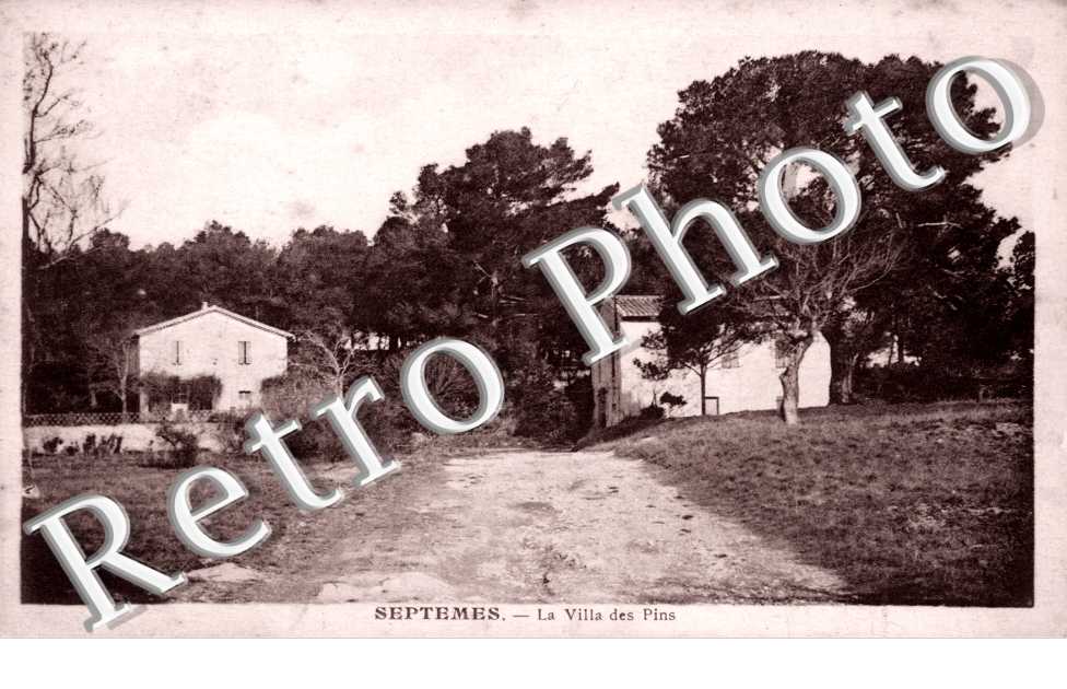 La villa des pins