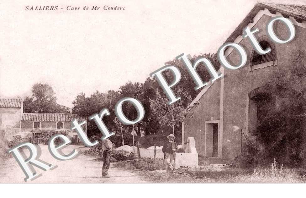 SALLIERS Cave de Mr Couderc