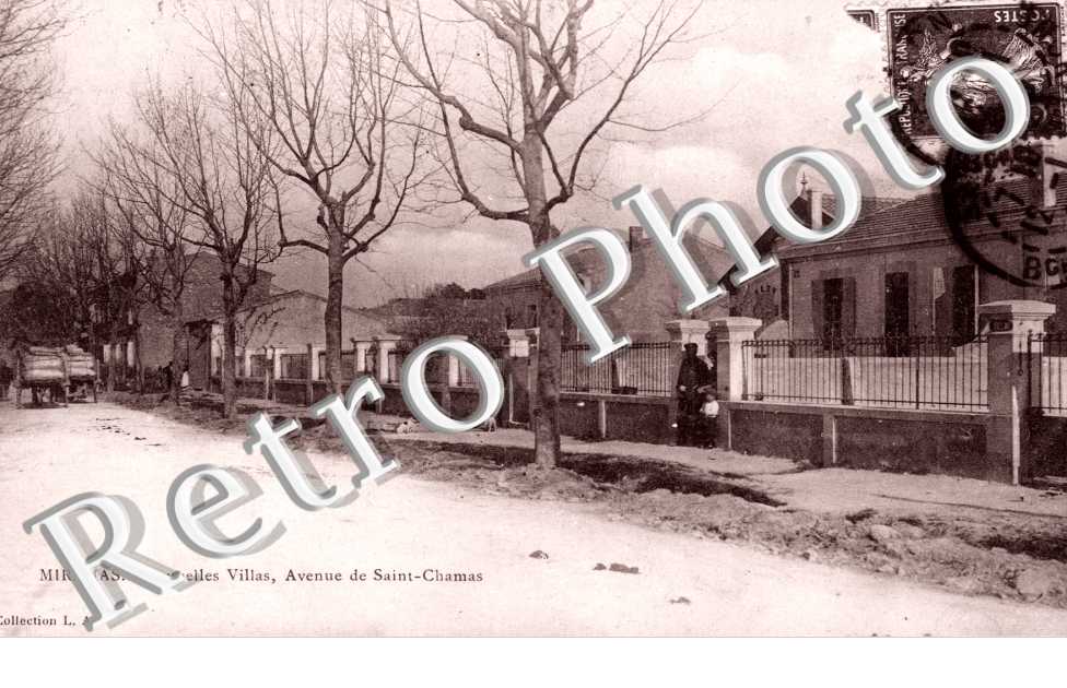 Avenue de Saint Chamas