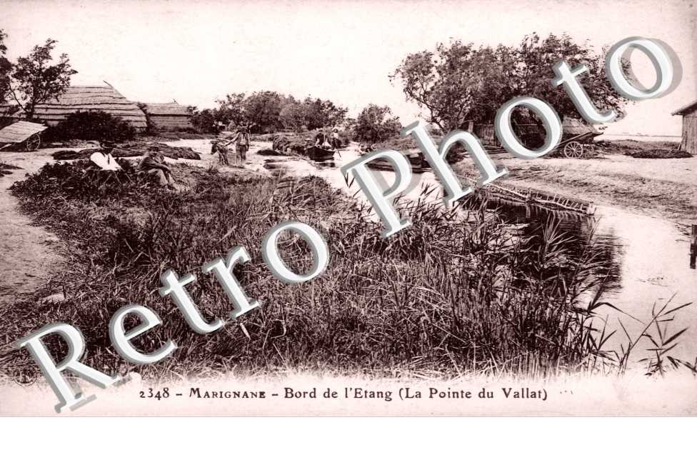 Bord de l&#039;Etang