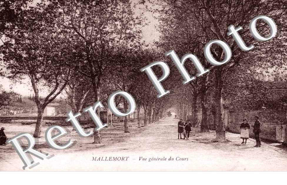 Vue generale du cours