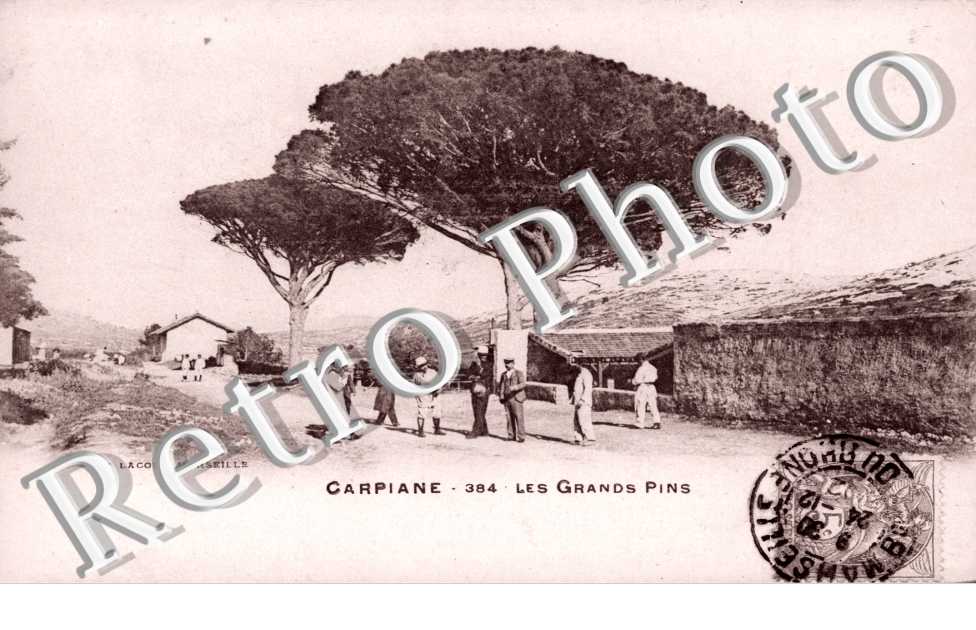 les grands pins