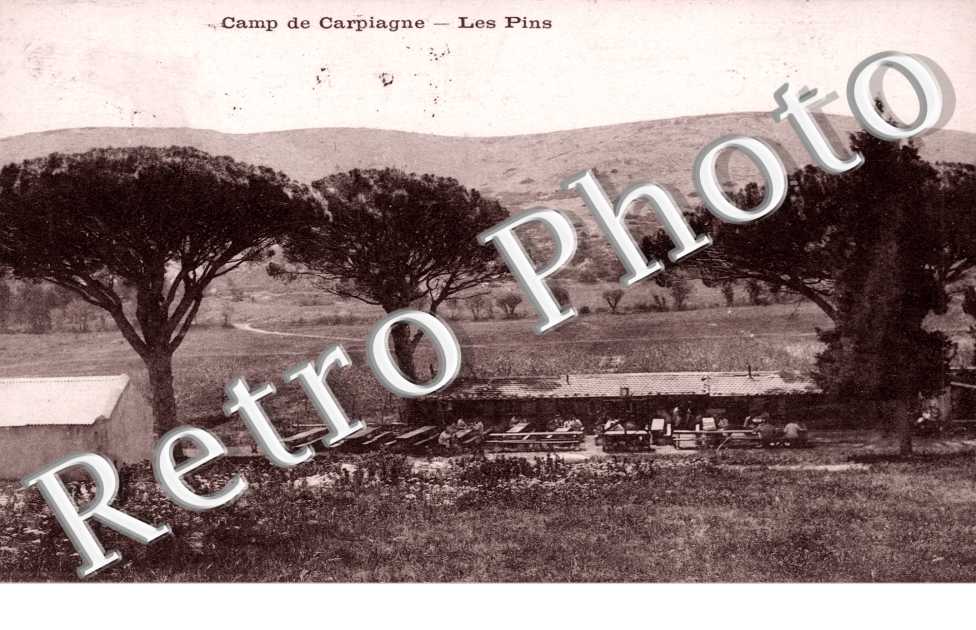 les pins