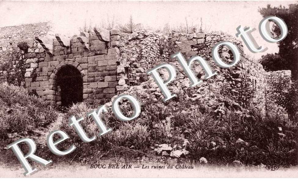 Les Ruines du Chateau