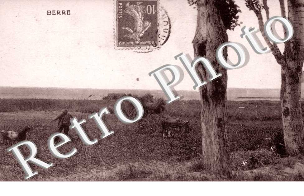 ( scene des Champs )