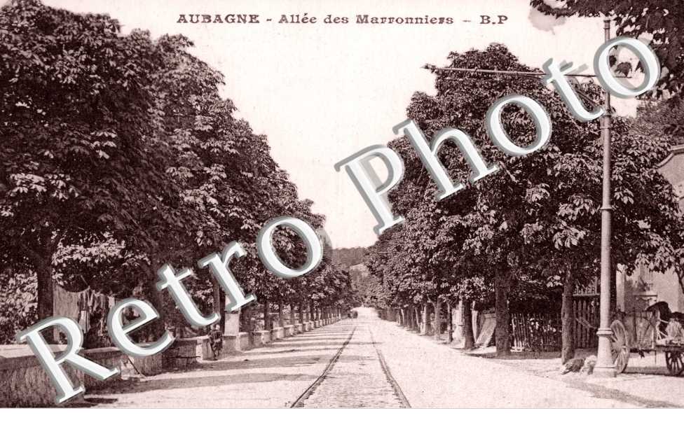 Allee des Marroniers