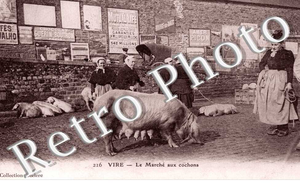 le Marche aux cochons