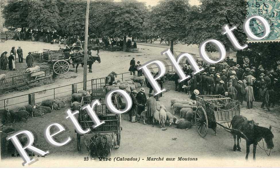 le Marche aux moutons