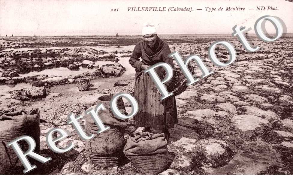 type de mouliere