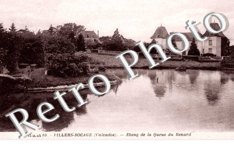 etang de la queue du renard