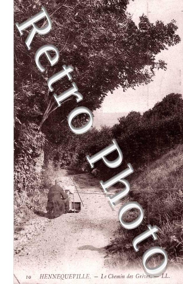 Hennequeville - Le Chemin des Greves