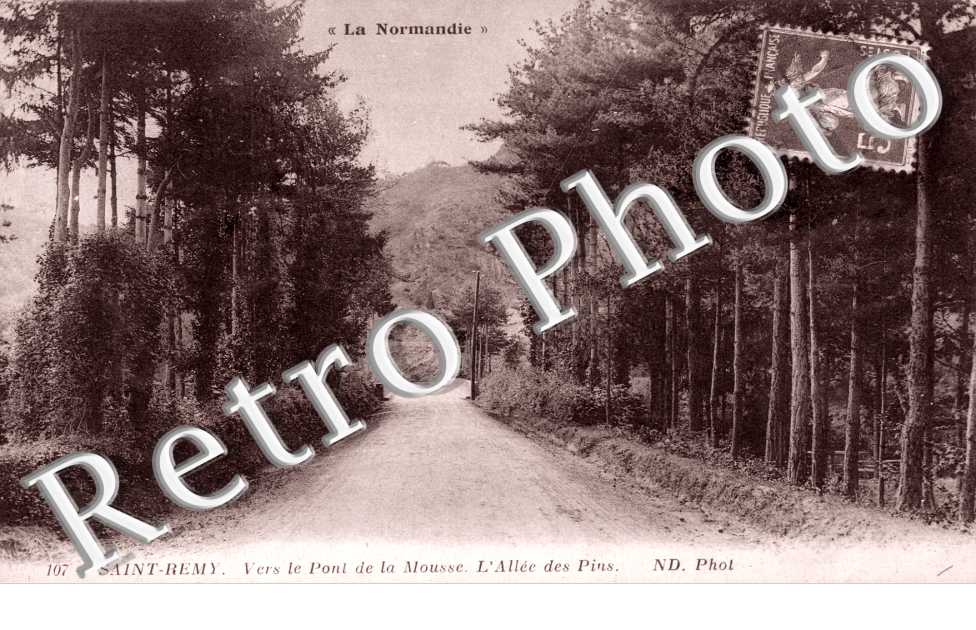 Vers le pont de la Mousse - allee des pins