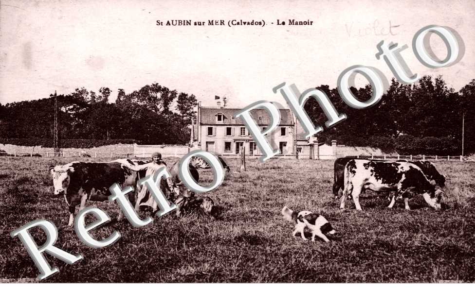 le manoir