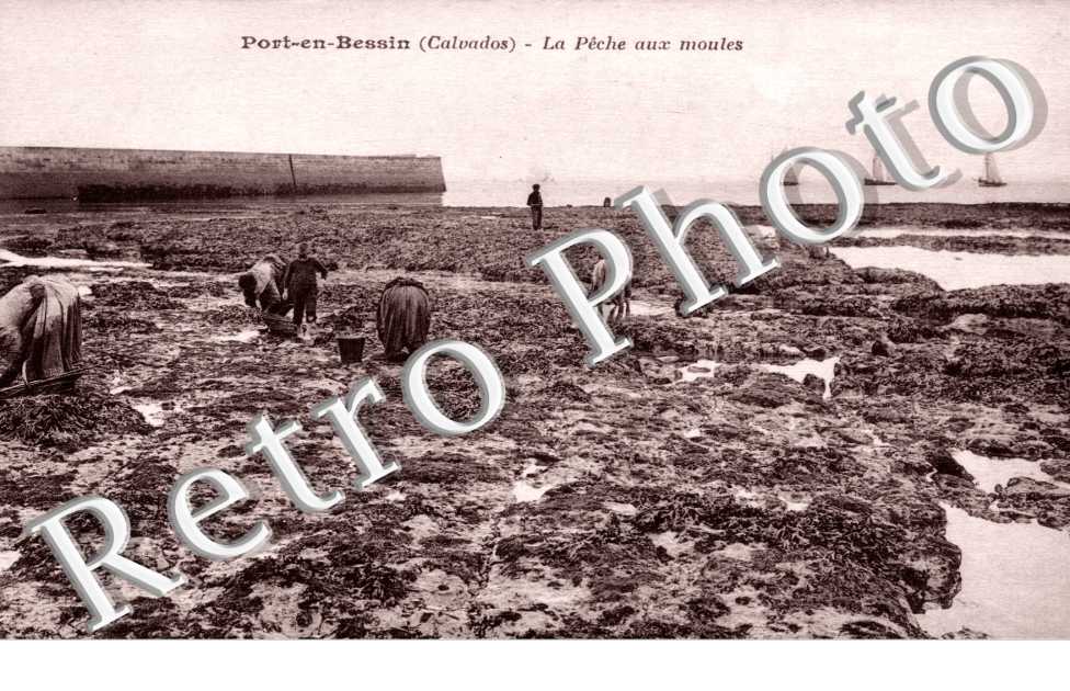 la peche aux moules