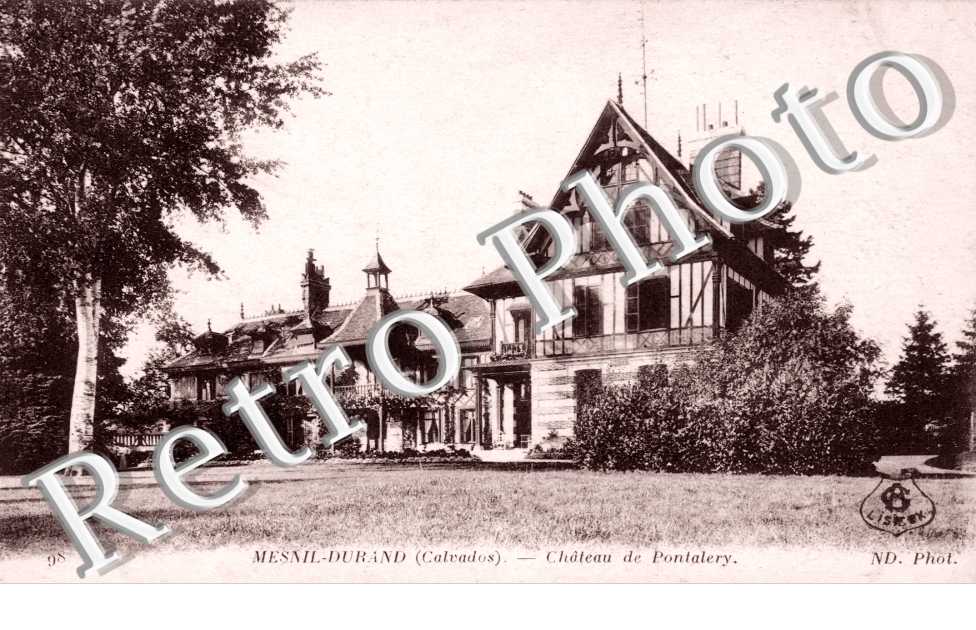 Chateau de Pontalery