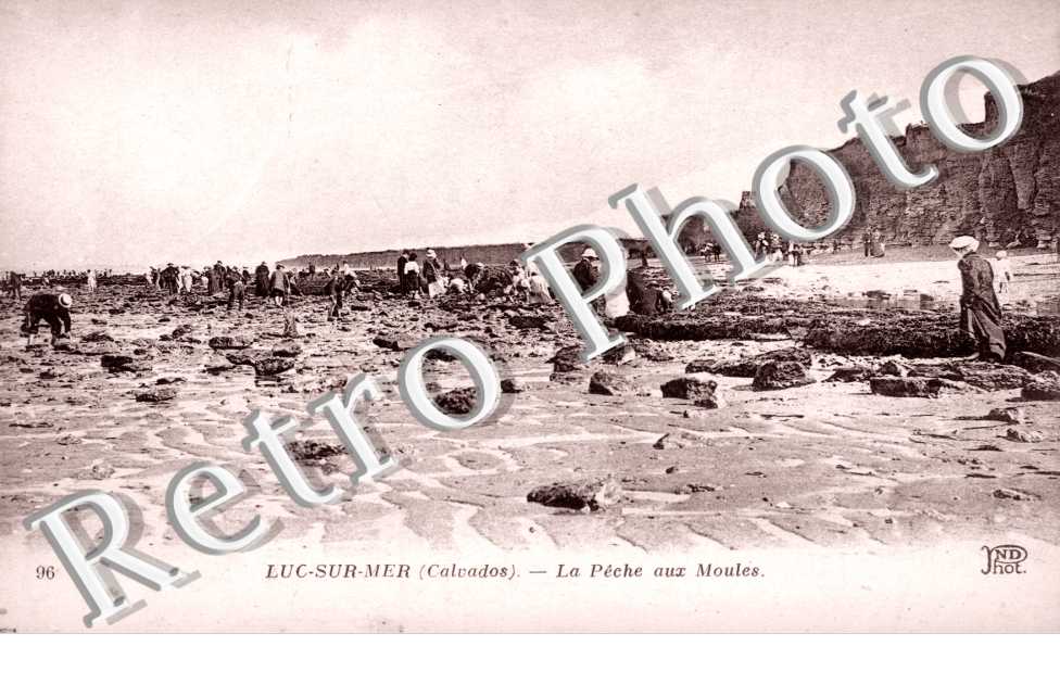 Luc-sur-Mer, la Peche aux Moules