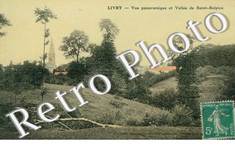 vue panoramique et vallee de Saint Sulpice