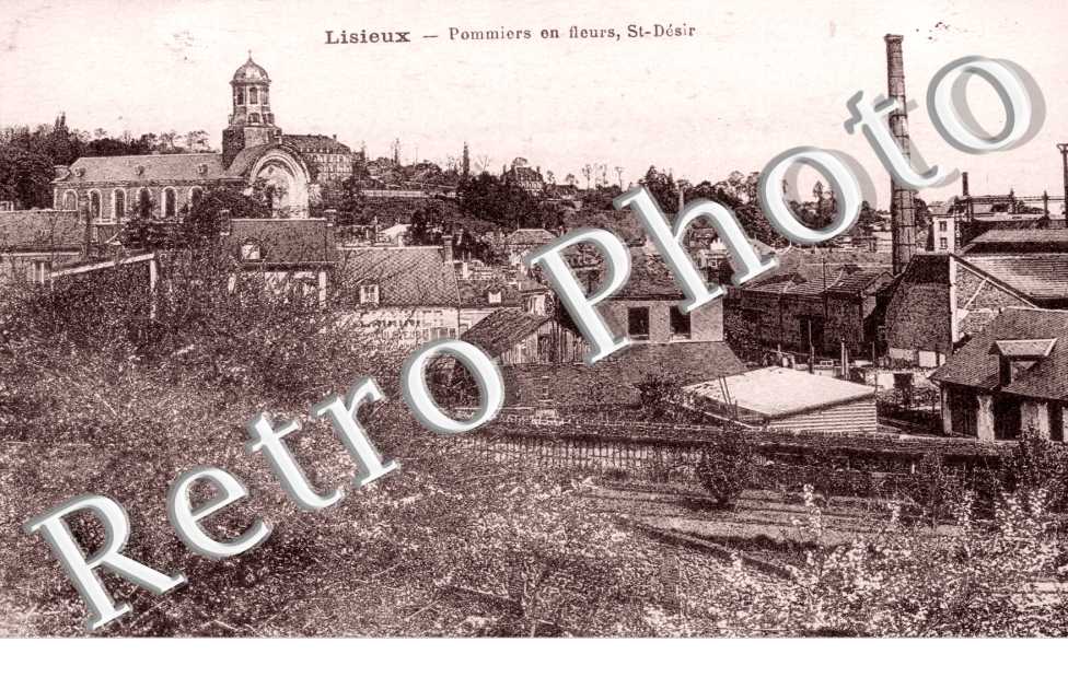 Pommiers en fleurs Saint Desir