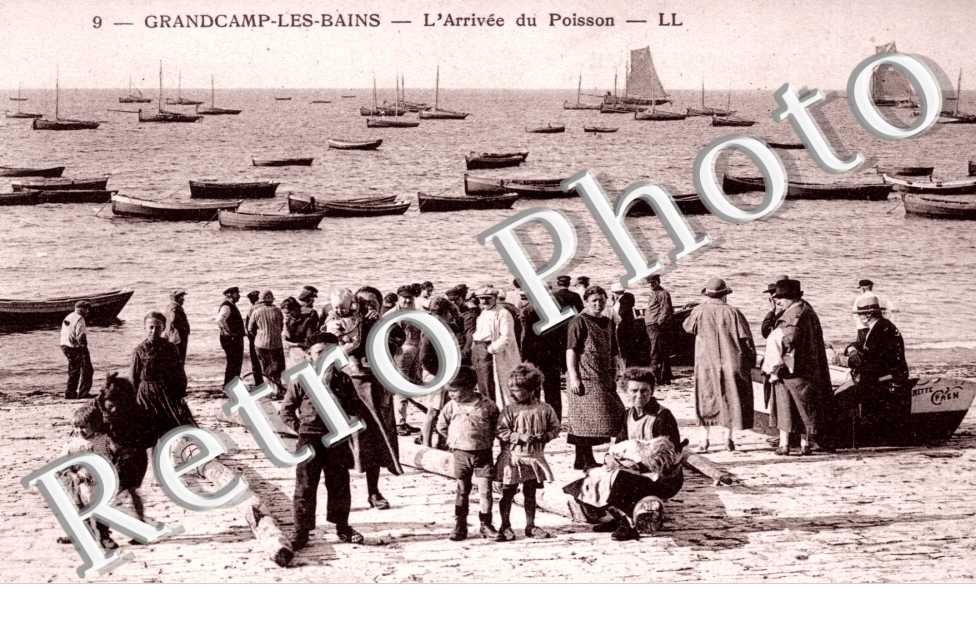 l&#039;arrivee du poisson