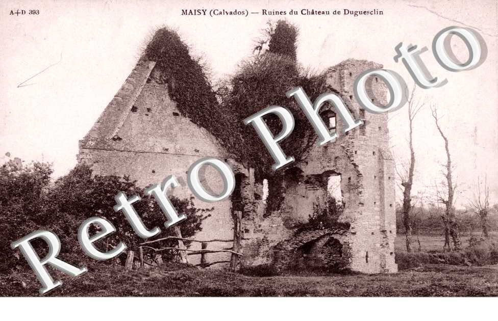 MAISY - Ruines du chateau de Duguesclin